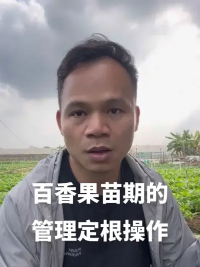 ��������ڵĹ����÷ʶ�������#�ְ���� #�����ݪֲ���� #��������� #�����ݪֲ #�ƽ�����ݪֲ����