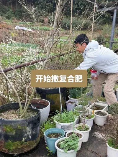 春天到了，万物复苏，又到了撒户合回（复合肥）的时候了 #施肥 #复合肥