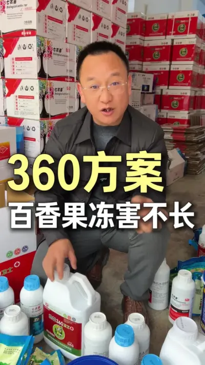 360�ƻ�������������������#ũҵ�����ƹ� #ݪֲС���� #��ũ #��ɽ #�����