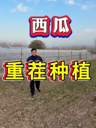 ���Ϸ�����ר�� #����ݪֲ #������ #����ݪֲ #�������� #8424����