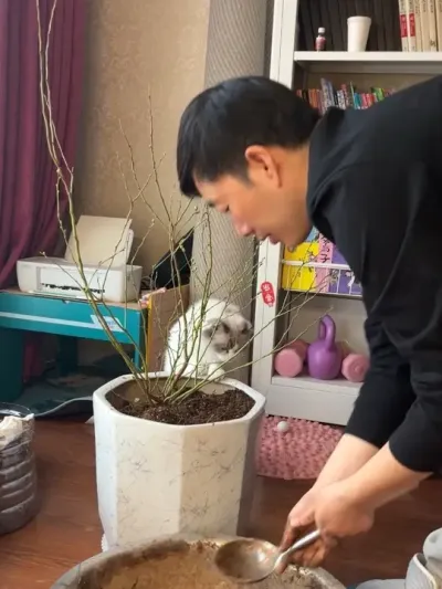 �Ȱ����ĵ�����#��ٳһ��ƽ��#��������#�������� #ݪֲ����Ȥ #����һ��ƽ��