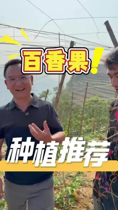 种植百香果有问题？欢迎评论区留言或私信，24小时在线解答#百香果#三农#农业技术推广#农业法哥