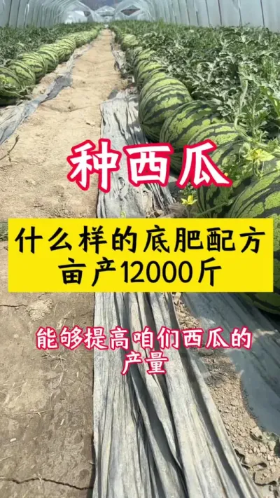 #����ݪֲ#����ݪֲ����#������#����#���ϵ׷�