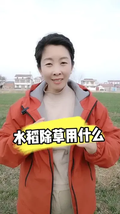 ˮ���￹���Ӳݿ��ǡ���ɰ�ơ�������������׬�� #ˮ��ݪֲ #ˮ�����ݼ� #ˮ������ #ũ�ʷ��� #��ɰ�Ƴ��ݼ�