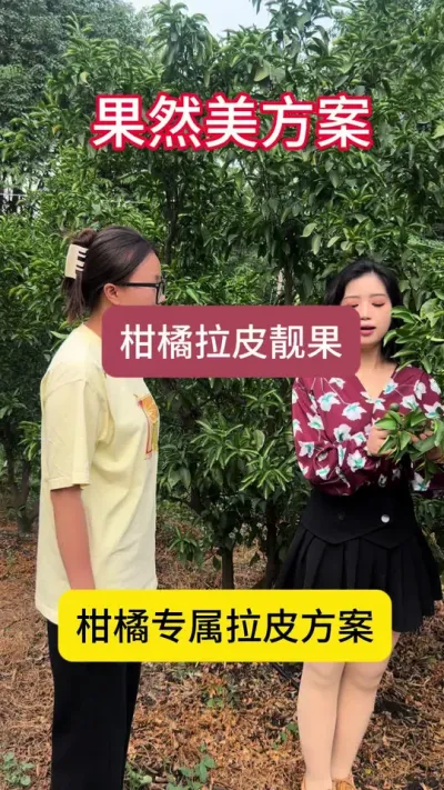 老许，你要老婆不要？#柑橘种植 #三农 #助农在行动 #新农人计划