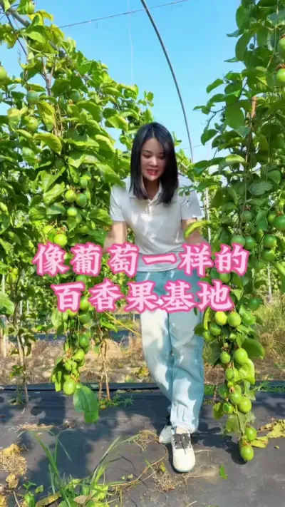 ��������������Ż�����������һ��һ�괮��������#�����ػ��� #�ҵ��������� #������ũ #��ũ #�����@����С���� @DOU+С����