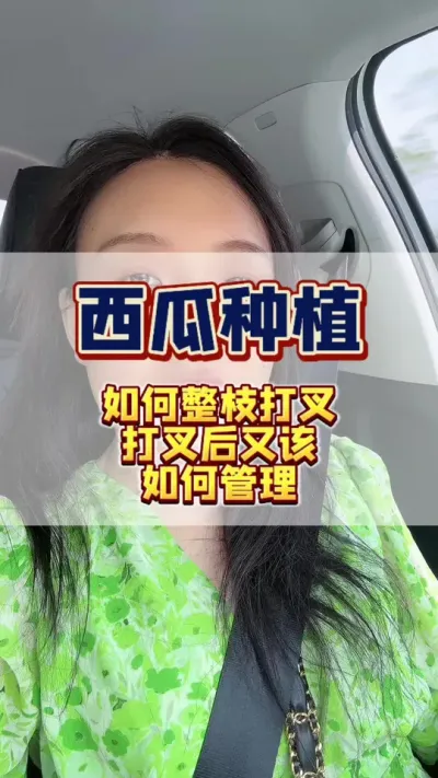#西瓜种植#西瓜管理#病虫害防治#增产增收 西瓜整枝打叉后如何管理才能高产无病害。