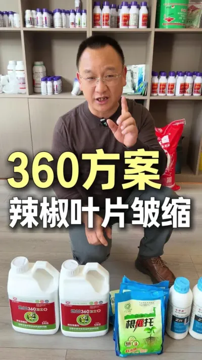 360�ƻ�������С���������Ҫ����#ũҵ�����ƹ� #ݪֲС���� #��ũ #����  #��ũ����