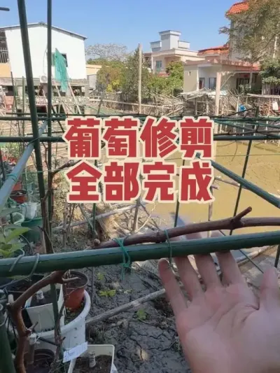 �������������޼������������Щ���ѿ���Ч������#��������#������#�޷�����