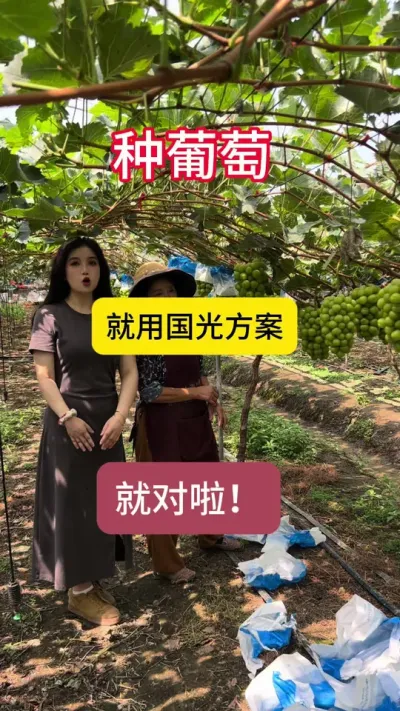 #��ũ #����ݪֲ �����Ѽǵ�����Ӵ��