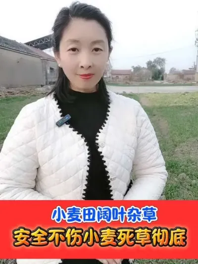 С������Ҷ���徲�����䷽ #С����ݼ� #С��ݪֲ #С�����#С�� #ũ�ʷ���