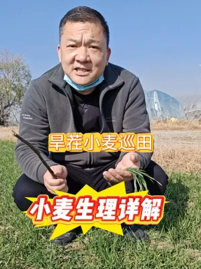 #С����#����#������