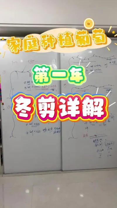 ��껭ʦ֮&mdash;&mdash;����ϸ�ĵ�һ�����Ѷ���������������һ����Ƶ����ѧ�����Ѷ�����#���Ѷ��� #����#ͥԺ����#¥����԰#������������