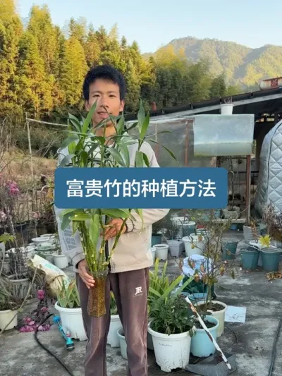 ��ʱһ����һ������һ����Ƶ��������ݪֲ������ #ݪֲС���� #������