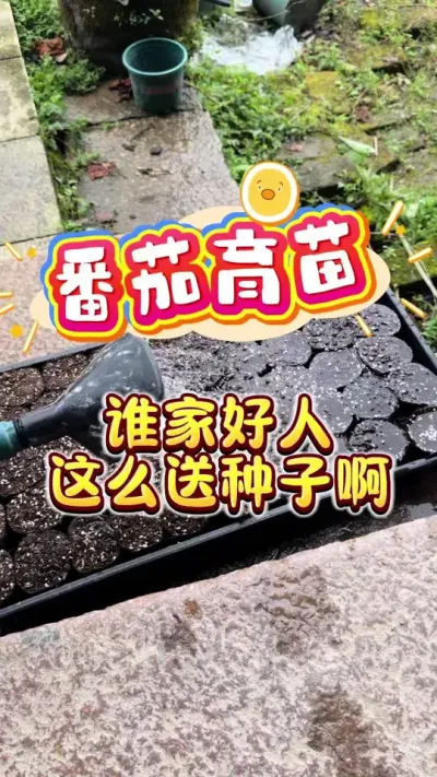 �������硫#���Է���#��ͥݪֲ #¥����԰ #��������