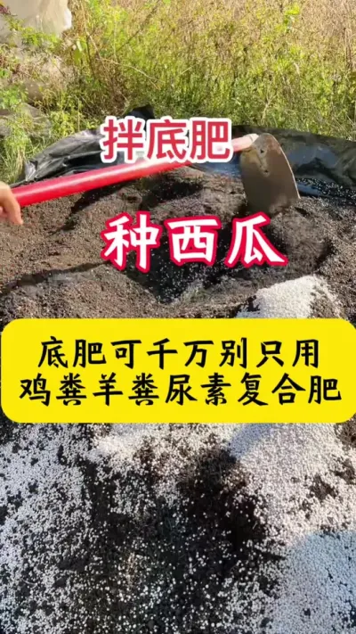 #����ݪֲ#����ݪֲ����#���Ϲ���#���ϵ׷�#����