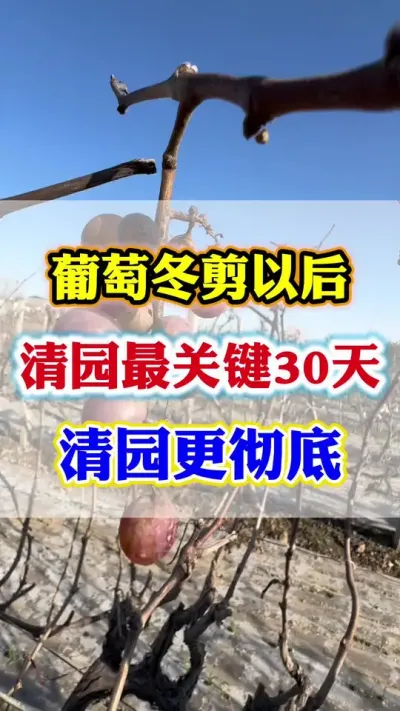 ���Ѷ����Ժ�����԰�ر��䷽��������԰�����������겡����԰#������԰#����ݪֲ#���Ѳ���