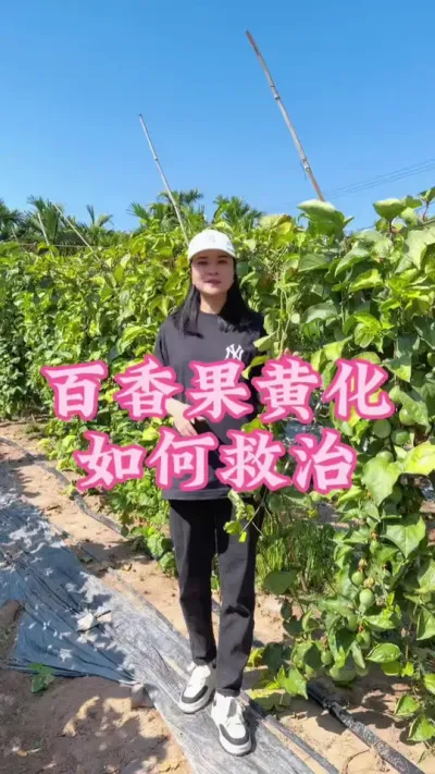 �ֶ��ͻ�������Լ�������翪�ƻ����ƻƻ���#�����ػ��� #��ũ #�ҵ��������� #������ũ #�ƽ����� @����С���� @DOU+С����