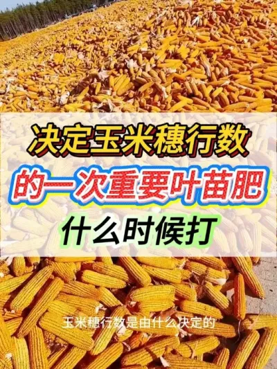 ����������������һ����ҪҶ���ʲôʱ���#����ݪֲ #���׹��� #���׸߲�