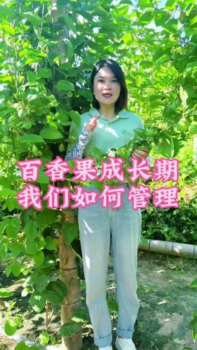 新手小白种植百香果，我们成长期如何去管理呢？#乡村守护人 #三农 #我的乡村生活 #服务三农支持三农 #百香果 @抖音小助手 @DOU+小助手