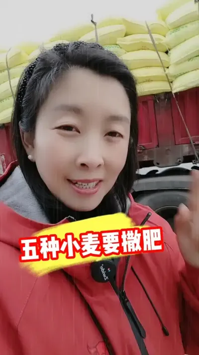 ����С��Ҫ������ #С��ݪֲ #С��ݪֲ�������� #С����� #С�� #ũҵݪֲ