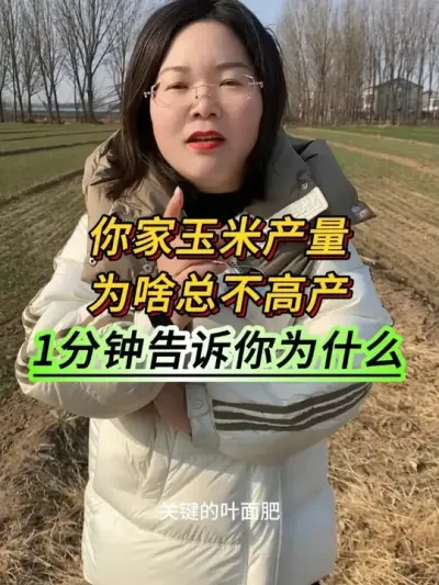 ������ײ���Ϊɶ�ܲ��߲���1���Ӹ�����Ϊʲô#�������� #����ݪֲ #֧����ũ������ũ #���׸߲�