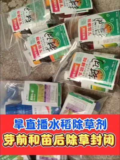 旱直播水稻芽前封闭除草天花板 剂量足，效果好，旱直播水稻芽前封闭除草剂#水稻 #水稻除草剂 #水稻种植 #农资肥料 #农业种植