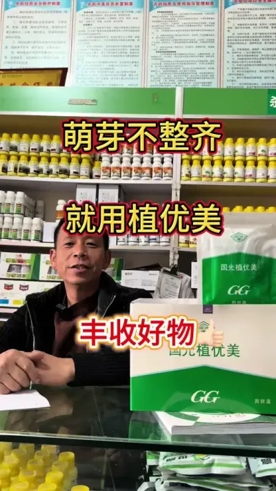 ��ѿ�����������ù���ֲ������#���� #����ݪֲ