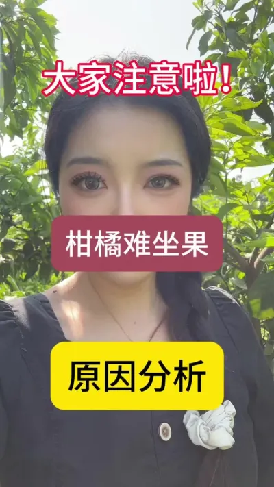 种柑橘的注意啦！柑橘难坐果，原因分析！#柑橘保果