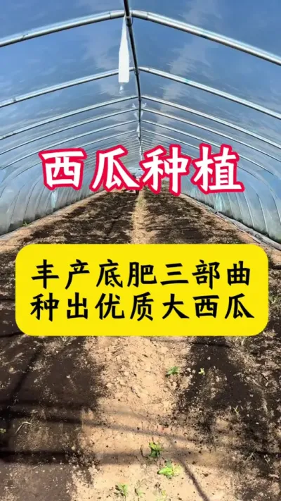 #����ݪֲ#���ϵ׷�#���Ϲ��� #ũҵݪֲ #��ũ