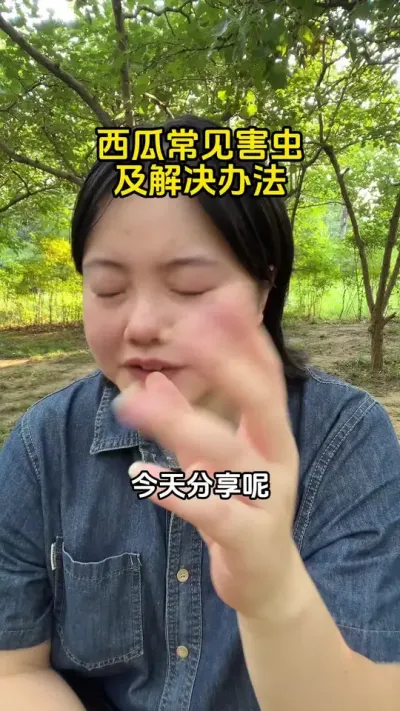 #西瓜种植#西瓜管理#西瓜高产#西瓜病虫害防治 #西瓜病虫害