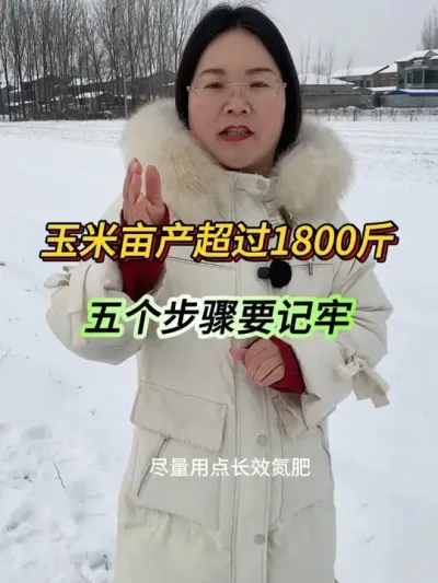 ����Ķ�����1800��������취Ҫ����#�������� #�߲��������� #֧����ũ������ũ