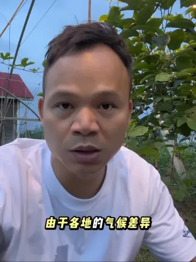 为什么黄金百香果价格这么高，却还有种植户亏本！#百香果种植技术 #百香果种植 #黄金百香果种植技术 #百香果用肥#黄金百香果钦蜜九号