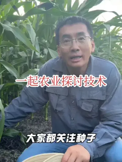 #ũҵݪֲ #ũ���ƹ� #�Ͽ����� ������ũҵ��оƬ�����������ӵ��з�ˮƽ�վ�Ҫ������ũ���ݪֲ���ո�Ϊ������