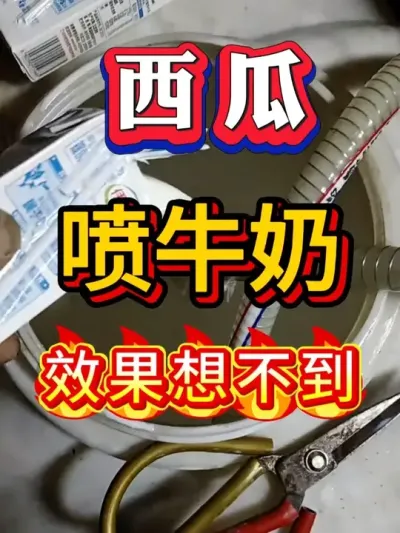 ����������ţ����Ч�����벻���ĺ� #����ݪֲ #������ #����ݪֲ #�������� #8424����