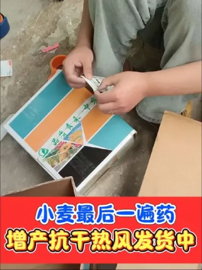 小麦灌浆增产抗干热风最后一遍药 最后一遍增加千粒重，抗干热风的组合，一定要药量足，非常关键#小麦种植 #小麦增产套餐 #小麦 #农资肥料 #农资店