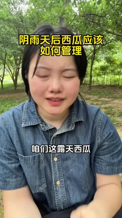 #西瓜种植#西瓜高产#西瓜管理#西瓜种植技术