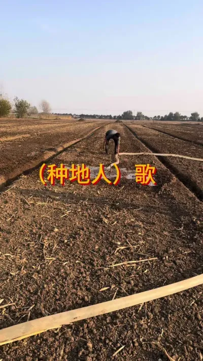 ����Ǯ���䱡������ļ�����Ȼ�����������ڴ����վ����������Զ���ᱻ���괵�������Ӳ��������������õ������� ���2025��˪��ӭ��2026�Ĺ���#������