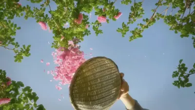 &ldquo;�����Ļ�֮Ѥ����������Ҷ֮����&rdquo;#������ #��