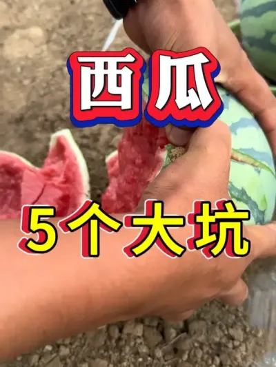 ����ݪֲ5����� #����ݪֲ #������ #����ݪֲ #�������� #8424����