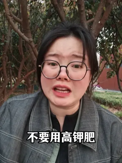 #西瓜种植#西瓜管理#西瓜种植技术#西瓜高产#西瓜施肥