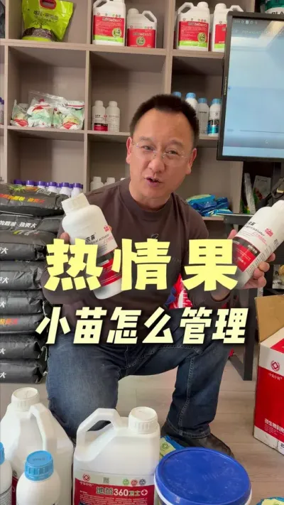 ͬ�������������Ϊʲô���˸߲���ȴ��Ǯ��#ũҵݪֲ #��ũ #ݪֲС����