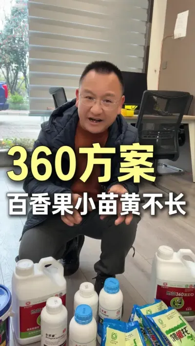 360�ƻ���������С�粻����#ũҵ�����ƹ� #ݪֲС���� #��ũ #��ɽ #�����