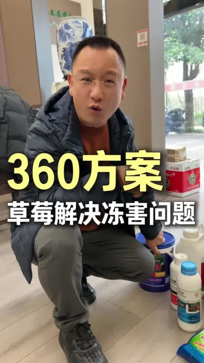 360�ƻ��������ݮ������#ũҵ�����ƹ� #ݪֲС���� #��ũ #��ɽ #��ݮ