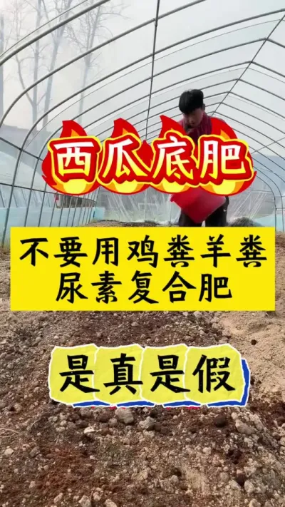 #����ݪֲ#����ݪֲ����#������#���ϵ׷�#����