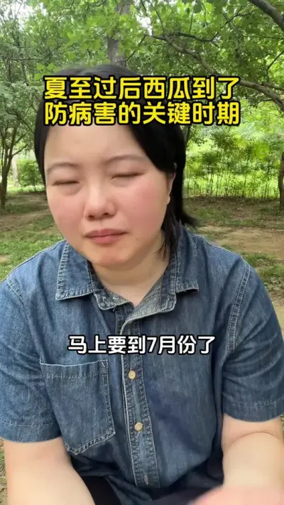 #西瓜种植#西瓜高产#西瓜病害#西瓜种植技术#西瓜管理