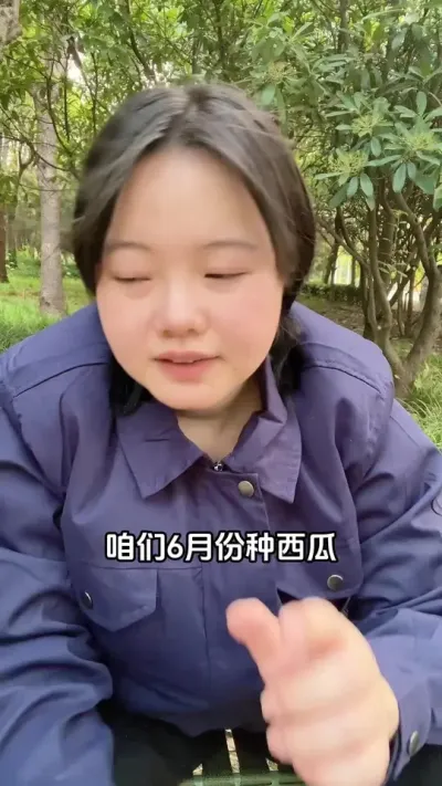 #西瓜管理 #西瓜高产#西瓜种植技术#西瓜病害