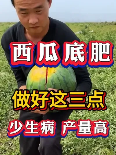 ���ϵ׷����������������������������� #����ݪֲ #������ #����ݪֲ #�������� #8424����