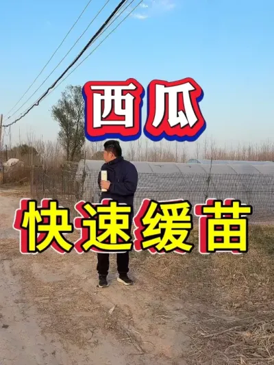 ���Ͽ��ٻ���Ҫ�� #����ݪֲ #������ #����ݪֲ #�������� #8424����