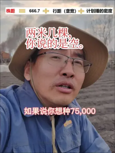 #这就是村里人的劳动节 #新农人计划2025 #播种密度 两米几棵，大家常说，但不同的人有不同意思，可能是几棵苗，可能是几个粒，所以一定要注意。大家最好说株距。